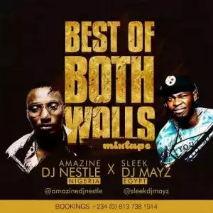 Dj Nestle - Best Of Both Walls ft. DJ Mayz